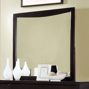 Snyder Espresso Mirror - Ornate Home