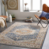 Solana Distressed Medallion Area Carpet - Clearance - Ornate Home