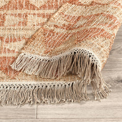 Solana Terracotta/Natural Distressed Rug - Ornate Home