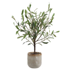 Solea Olive Brown/Green Accent & Textured Vase - Ornate Home