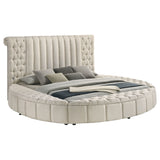 Sonya Ivory Eastern King Storage Bed Boucle - Ornate Home