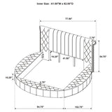 Sonya Ivory Queen Storage Bed Boucle - Ornate Home