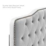 Sophia Light Gray Tufted Performance Velvet Twin Headboard - Ornate Home