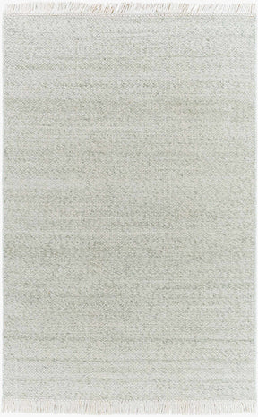 Sorell Sage Textured Weave Cottage Farmhouse Wool Handmade Area Rug - Clearance - Ornate Home