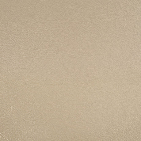 Sorina Side Chair (Set-2) - Ornate Home