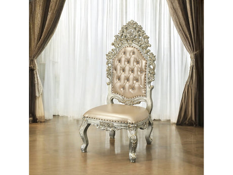 Sorina Side Chair (Set-2) - Ornate Home