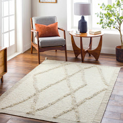 Soto Area Rug - Clearance - Ornate Home