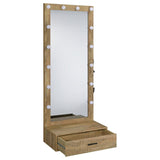 Spector Mango 1-drawer Lighted Full-Length Floor Mirror - Ornate Home
