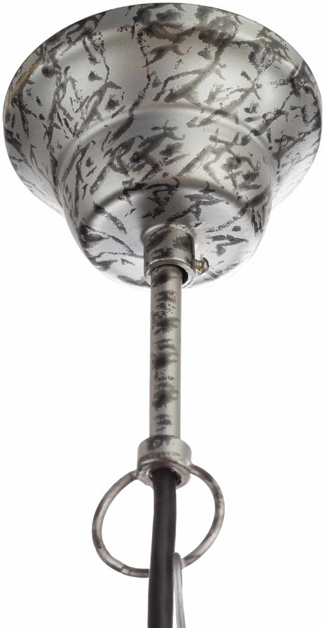 Speculator Ceiling Light - Clearance - Ornate Home