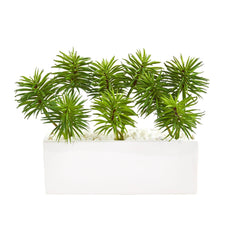 Spiky Succulent Garden Artificial Plant in White Ceramic Vase - Ornate Home