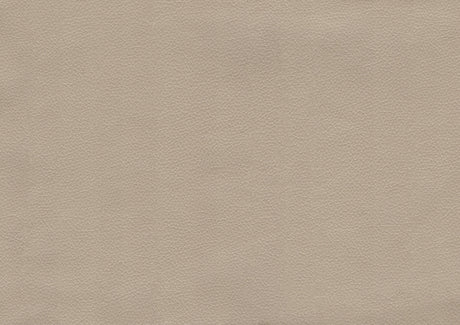 Spivey Beige Sofa - Ornate Home