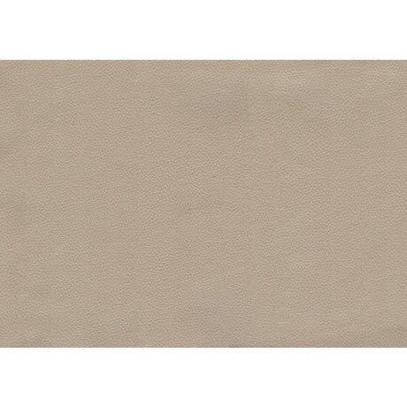 Spivey Beige Sofa - Ornate Home