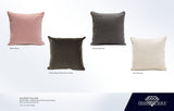 Square Accent Pillows (Set of 2) - Ornate Home