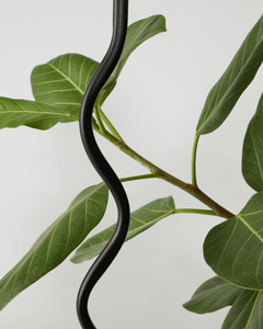 Squiggle Floor Lamp - Ornate Home