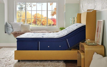 Stearns & Foster® Studio Medium Pillowtop Mattress - Ornate Home