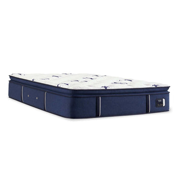 Stearns & Foster® Studio Medium Pillowtop Mattress - Ornate Home