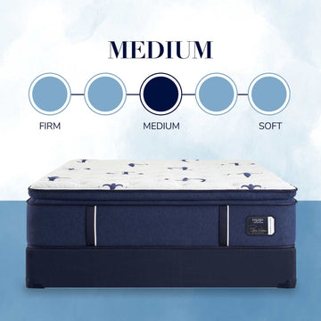 Stearns & Foster® Studio Medium Pillowtop Mattress - Ornate Home