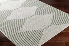 Stephan Green Outdoor Rug - Clearance - Ornate Home