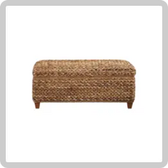 Storage Trunks