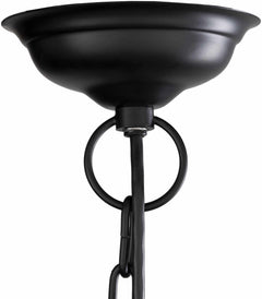 Strasburg Ceiling Light - Clearance - Ornate Home