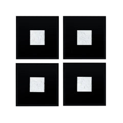 Study In Black And White Black/White Wall Art - Ornate Home