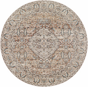 Suay Area Rug - Clearance - Ornate Home