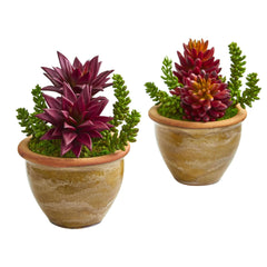 Succulent Artificial Plant in Ceramic Planter (Set of 2) - Ornate Home