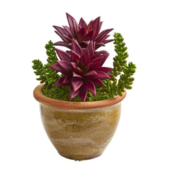 Succulent Artificial Plant in Ceramic Planter (Set of 2) - Ornate Home