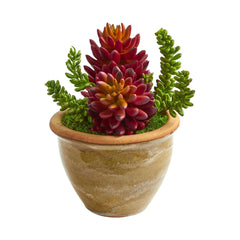 Succulent Artificial Plant in Ceramic Planter (Set of 2) - Ornate Home