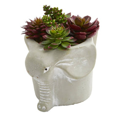 Succulent Artificial Plant in Elephant and Snail Planter (Set of 2) - Ornate Home