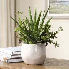 Sundown Succulent Green/White Accent Planter - Ornate Home