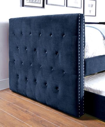Susanna Navy Daybed w/ Trundle - Ornate Home