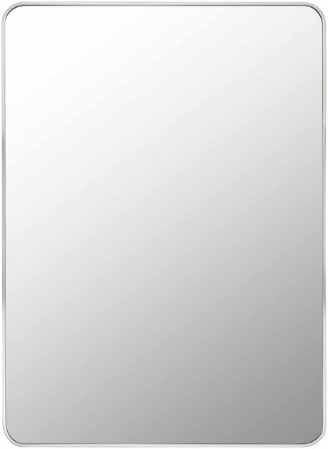 Sustinente Silver Gray Carved Mirror - Ornate Home