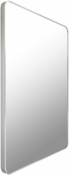 Sustinente Silver Gray Carved Mirror - Ornate Home