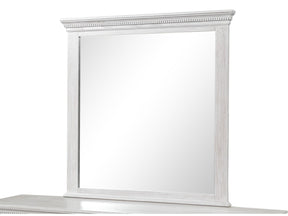 Swanley Weathered Gray Mirror - Ornate Home
