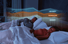 TEMPUR-Ergo® Smart Adjustable Power Base - Ornate Home