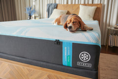 TEMPUR LUXE breeze 2.0 Medium Hybrid Mattress - Ornate Home