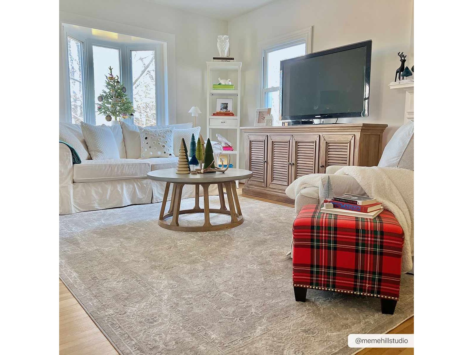 Tahmoor Gray Statement Rug - Clearance - Ornate Home