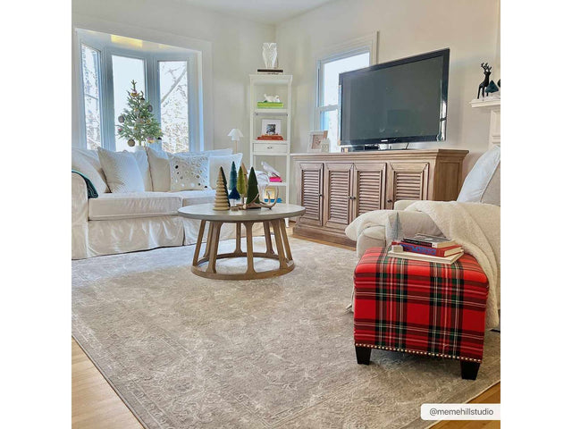 Tahmoor Gray Statement Rug - Clearance - Ornate Home