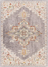Taia Traditional Style Rug - Clearance - Ornate Home