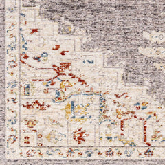 Taia Traditional Style Rug - Clearance - Ornate Home