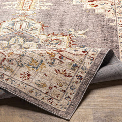 Taia Traditional Style Rug - Clearance - Ornate Home
