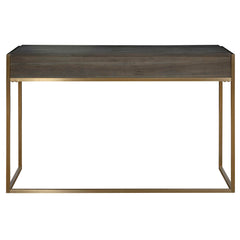 Taja Brass/Woodtone Modern Writing Desk - Ornate Home