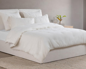 Talia Cloud Comforter Collection - Ornate Home