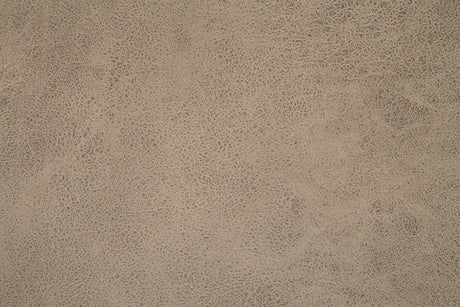 Tallenger Beige Counter Height Chair (Set of 2) - Ornate Home