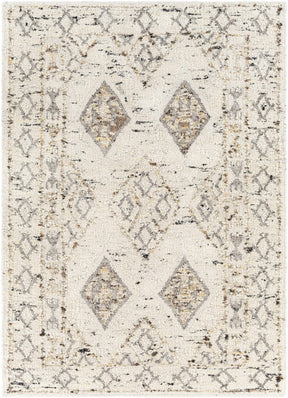 Tamparan Area Rug - Clearance - Ornate Home