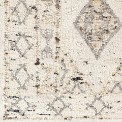 Tamparan Area Rug - Clearance - Ornate Home