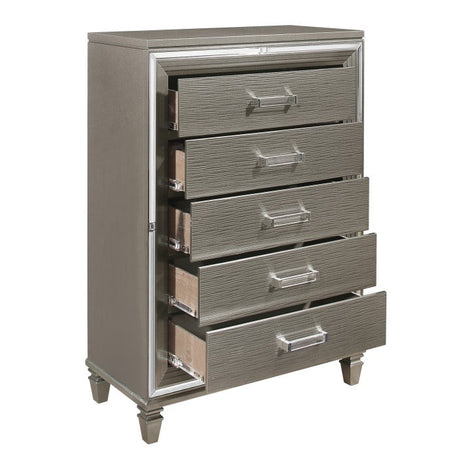 Tamsin Silver/Gray Chest - Ornate Home