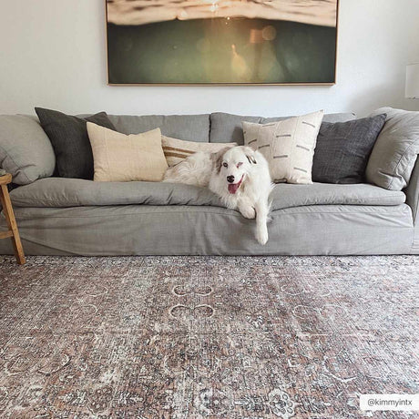 Tan Jill Vintage Washable Area Rug - Clearance - Ornate Home