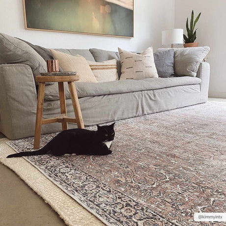 Tan Jill Vintage Washable Area Rug - Clearance - Ornate Home